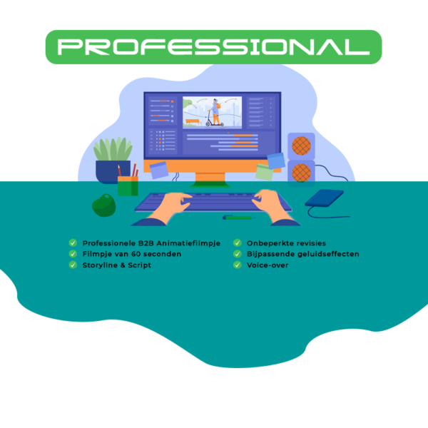Professional afbeelding 2